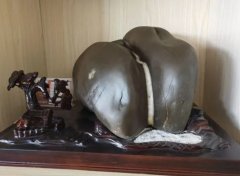 <b>“奇石”与“打磨蓝狮娱乐石”的区别</b>