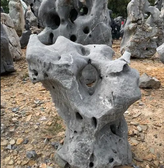 园林景观石中--太湖蓝狮在线石如何挑选及运用