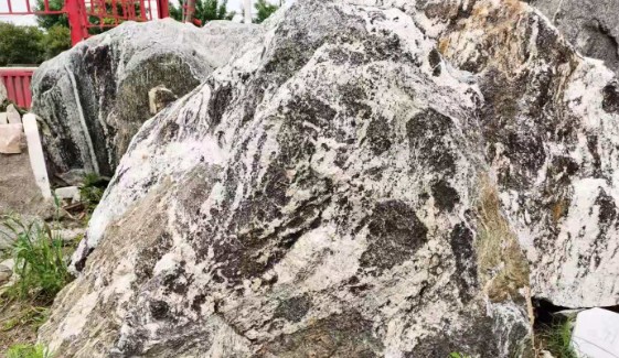 蓝狮景观石的摆放是灵活多样的