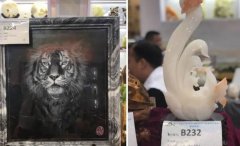 <b>杨柳石雕：深圳文博会上获铜奖蓝狮娱乐</b>